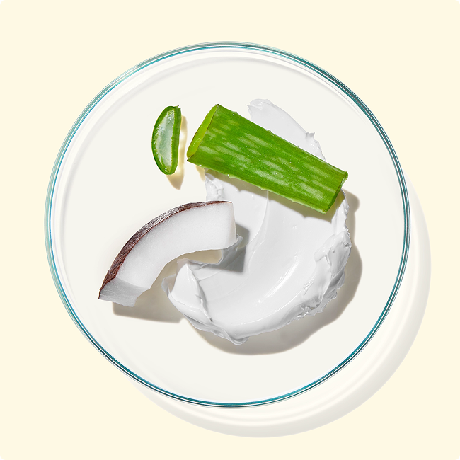 Rectangle_53_b0b4d7a4-6944-4777-9556-9b8dab93fc66.png